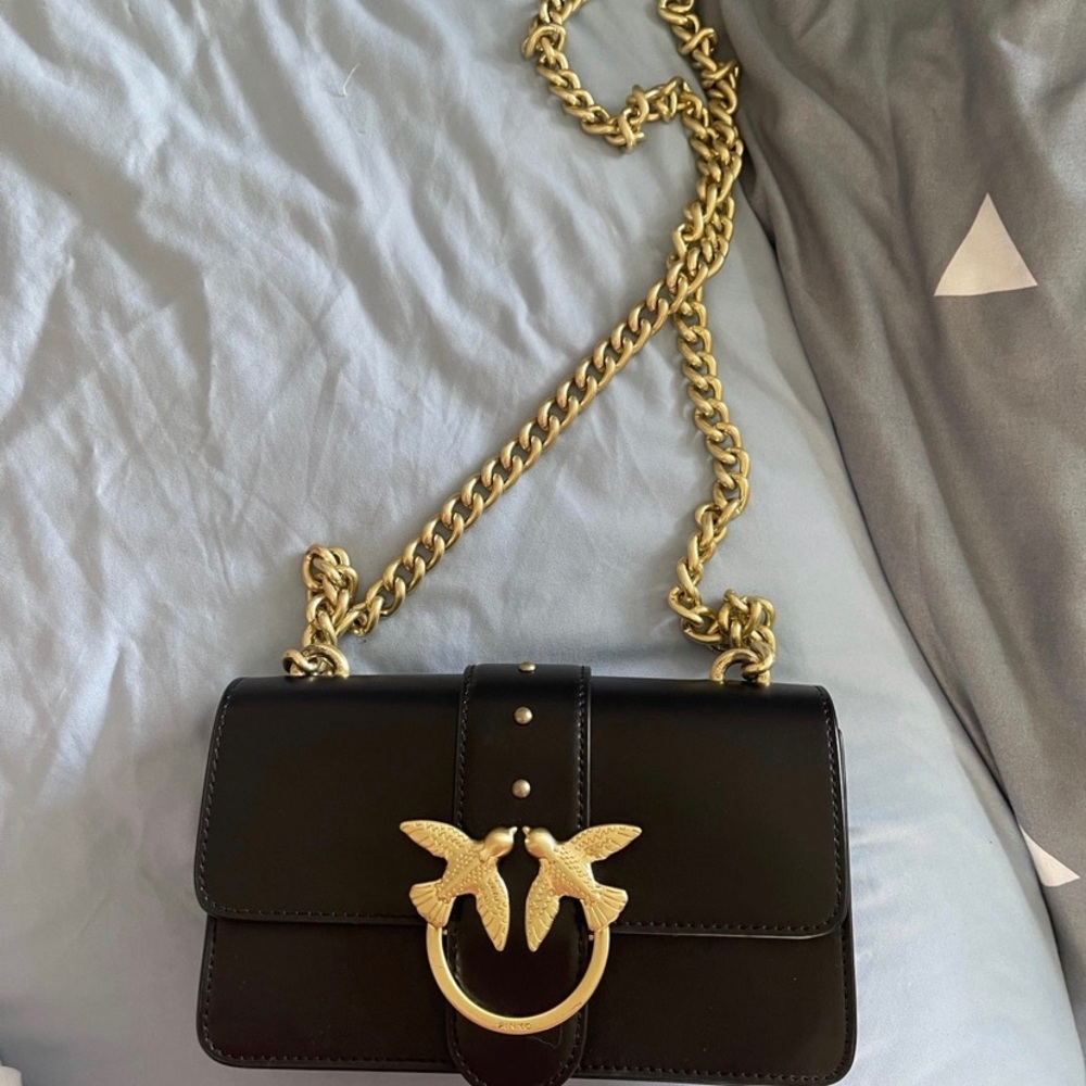Pinko Leather Bag